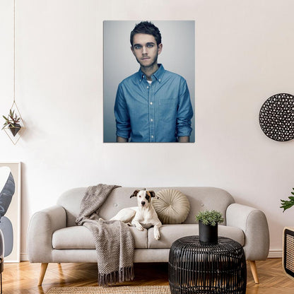 Zedd Musician Dubstep Music Rare Wall Art Print Poster