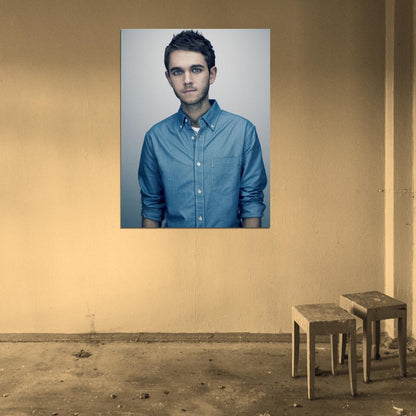 Zedd Musician Dubstep Music Rare Wall Art Print Poster