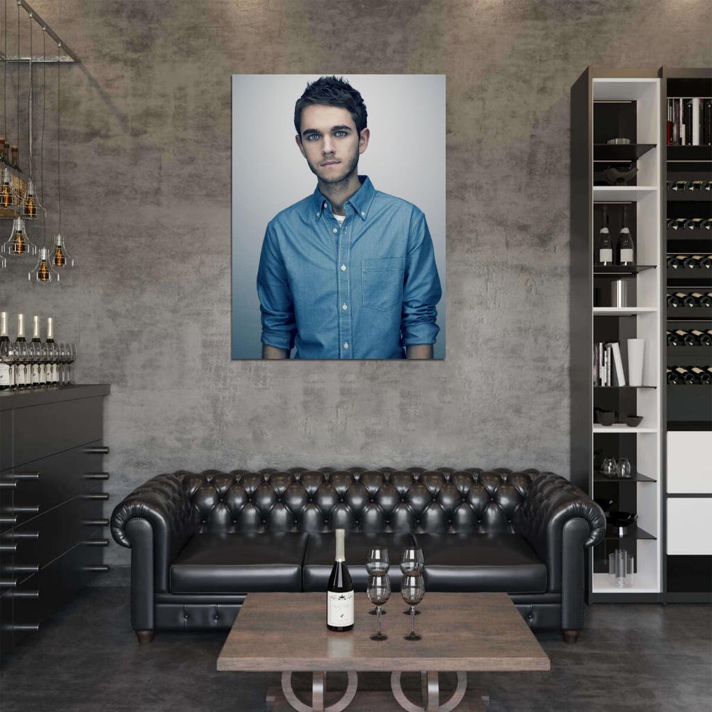 Zedd Musician Dubstep Music Rare Wall Art Print Poster