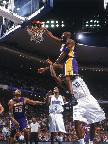 Black Mamba Monster Dunk Dwight Howard Posterize Basketball Sport Wall Art Print Poster