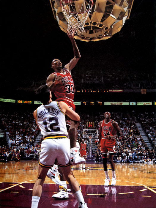 Scottie Pippen Basketball Sport Wall Art Print Poster