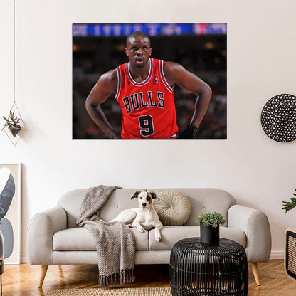 Luol Deng Basketball Sport Wall Art Print Poster