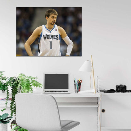 Alexey Shved Basketball Sport Wall Art Print Poster