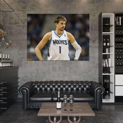 Alexey Shved Basketball Sport Wall Art Print Poster