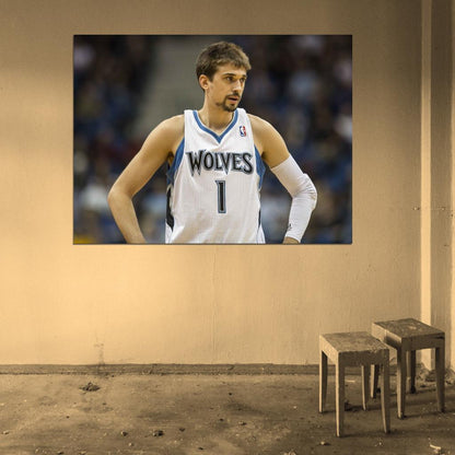 Alexey Shved Basketball Sport Wall Art Print Poster