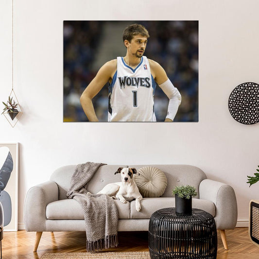 Alexey Shved Basketball Sport Wall Art Print Poster