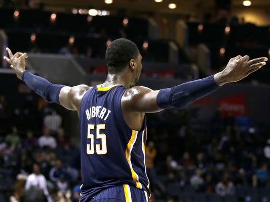 Roy Hibbert Basketball Sport Wall Art Print Poster