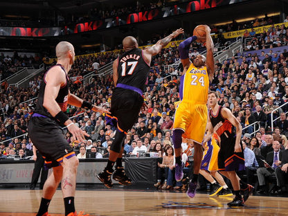 Black Mamba Fadeaway Los Angeles Basketball Sport Wall Art Print Poster