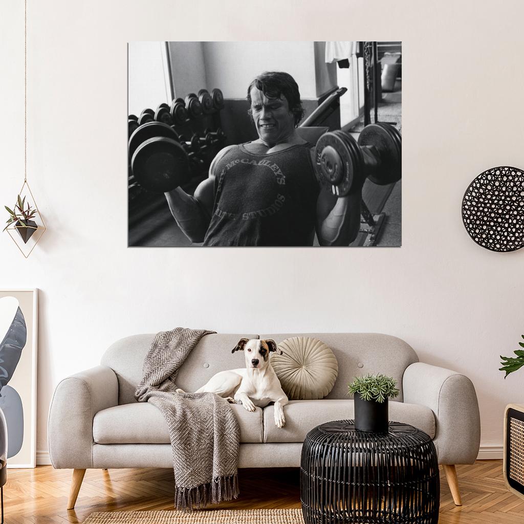 Arnold Schwarzenegger Dumbbells BW Bodybuilding Routine Workout Wall Art Print Poster