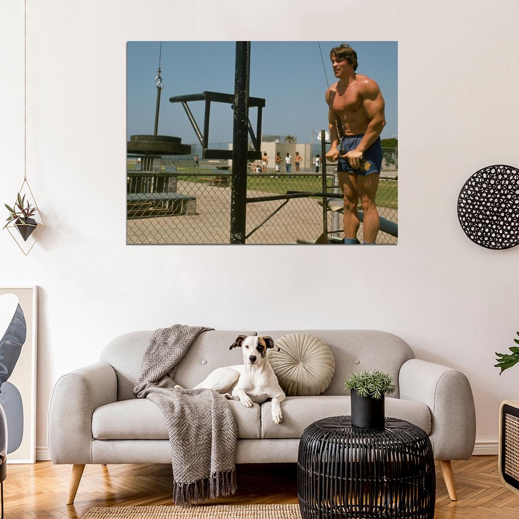 Arnold Schwarzenegger Muscles Bodybuilding Workout Wall Art Print Poster