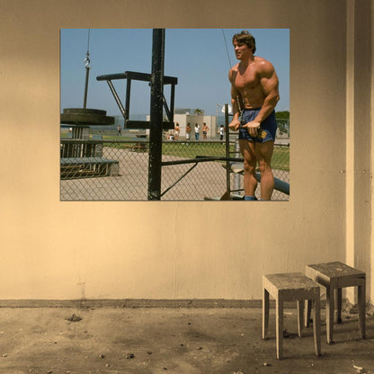 Arnold Schwarzenegger Muscles Bodybuilding Workout Wall Art Print Poster