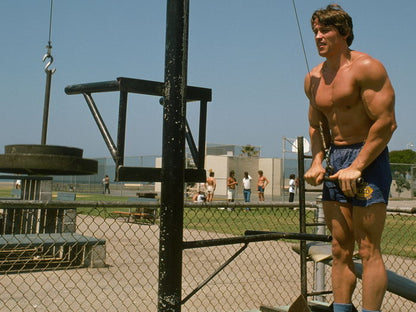 Arnold Schwarzenegger Muscles Bodybuilding Workout Wall Art Print Poster