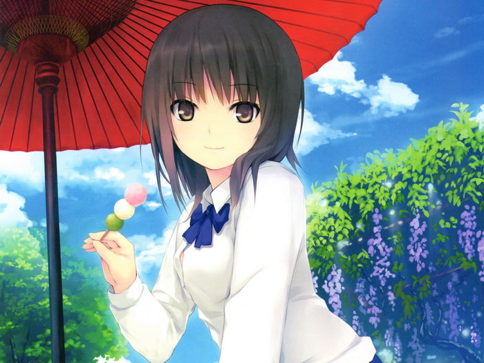 Cure Girl Aoyama Sumika Hot Anime Manga Novel Art Wall Art Print Poster