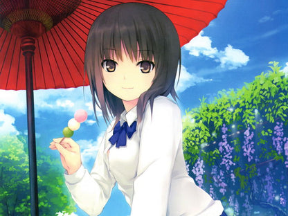 Cure Girl Aoyama Sumika Hot Anime Manga Novel Art Wall Art Print Poster