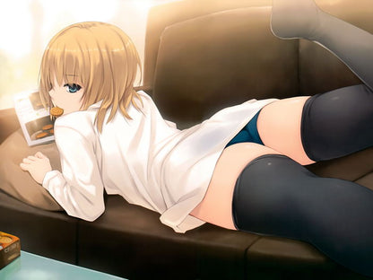 Cure Girl Nanjou Rena Sexy Stocking Hot Panties Anime Manga Novel Art Wall Art Print Poster