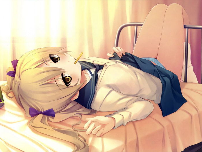 Cure Girl Nanjou Rena Sexy Babe Hot Panties Anime Manga Novel Art Wall Art Print Poster