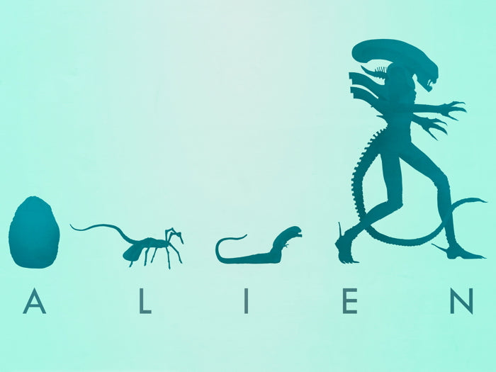 Alien Evolution Egg Facehugger Sci-Fi Movie Cool Art Artwork Wall Art Print Poster