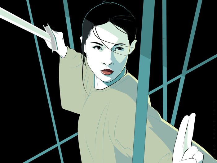 Crouching Tiger Hidden Dragon Movie Cool Art Artwork Wall Art Print Poster