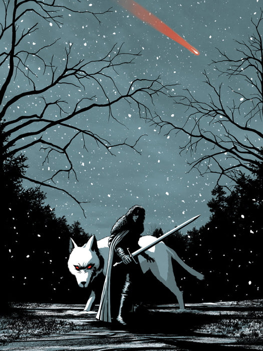 Jon Snow A Song of Ice and Fire Game of Thrones Wolf Winter Cool Art Artwork Wall Art Print Poster