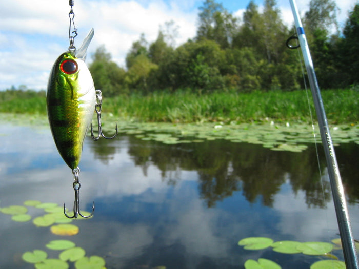 Fishing Rod Lure Pole Bait Lake Hook Nature Wall Art Print Poster