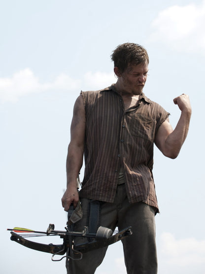 Daryl Dixon Norman Reedus Crossbow Awesome Wall Art Print Poster