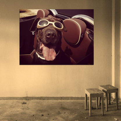 Cool Funny Cute Dog Tongue Glasses Wall Art Print Poster