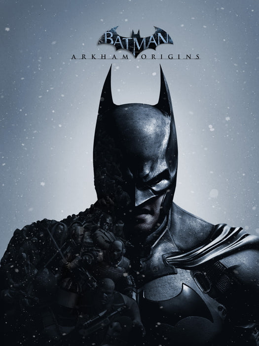 Batman Arkham Origins Video Game Art Wall Art Print Poster