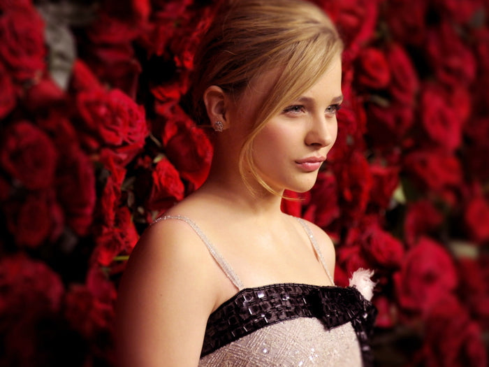 Chloe Grace Moretz Beautiful Hot Cute Actress Wall Art Print Poster
