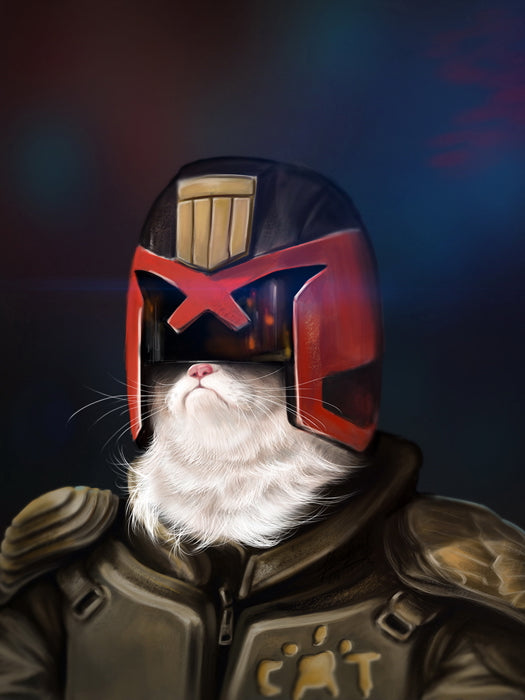 Judge Dredd 2012 Movie Cool Funny Art Wall Art Print Poster