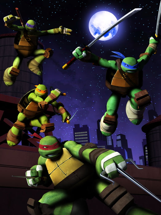 Teenage Mutant Ninja Turtles Nickelodeon 2012 TV Series Kids TMNT Art Wall Art Print Poster
