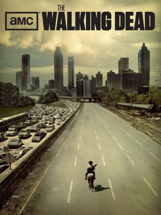 The Walking Dead TV Series Wall Art Print Poster