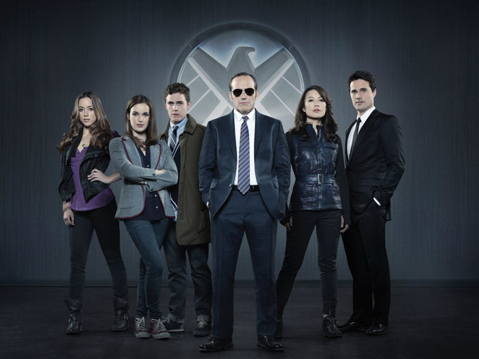 Agents of S.H.I.E.L.D. SHIELD TV Series Wall Art Print Poster