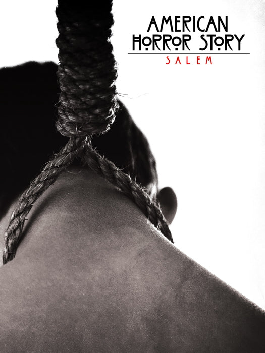 American Horror Story TV Series Wall Art Print Poster