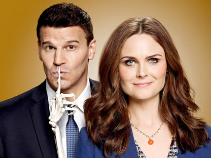 Bones Emily Deschanel David Boreanaz TV Series Wall Art Print Poster
