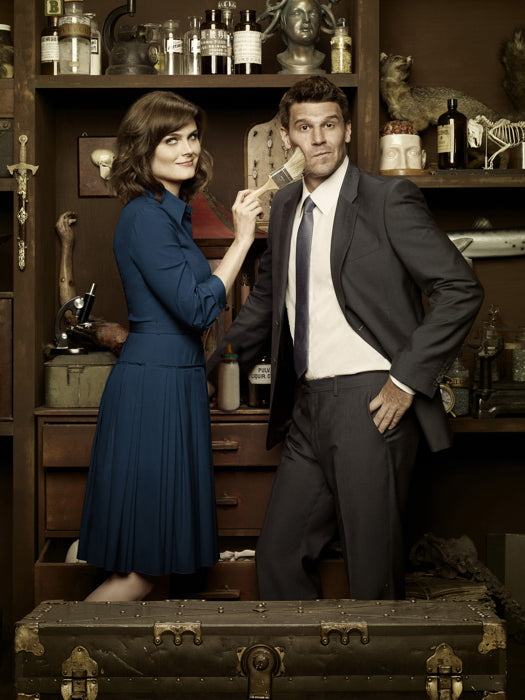 Bones TV Series Wall Art Print Poster