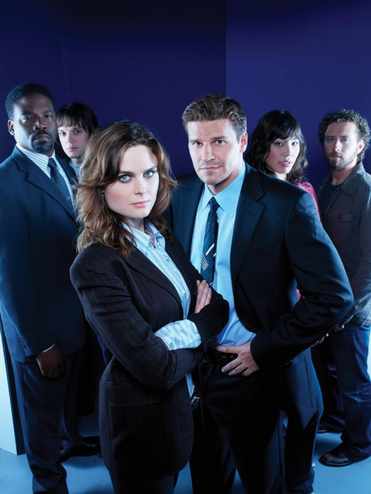 Bones Characters TV Series Wall Art Print Poster