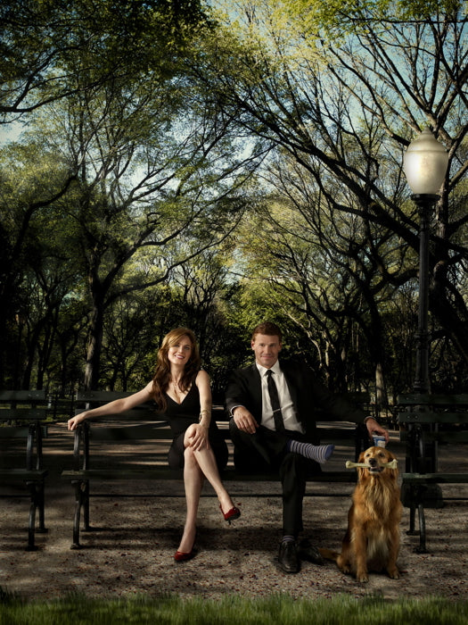 Bones TV Series Wall Art Print Poster