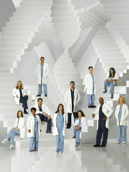 Grey's Anatomy Cast Characters TV Series Wall Art Print Poster