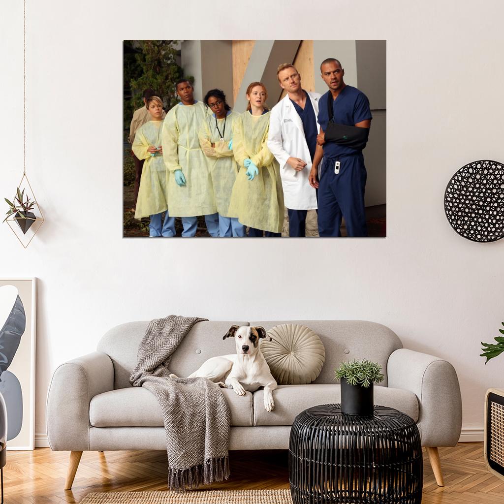 Grey's Anatomy TV Series Wall Art Print Poster