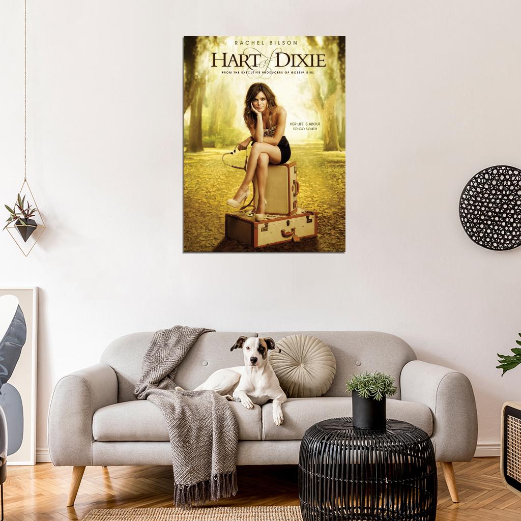Hart of Dixie Rachel Bilson TV Series Wall Art Print Poster