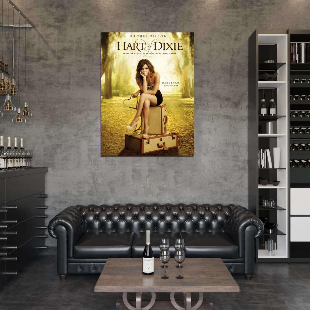 Hart of Dixie Rachel Bilson TV Series Wall Art Print Poster