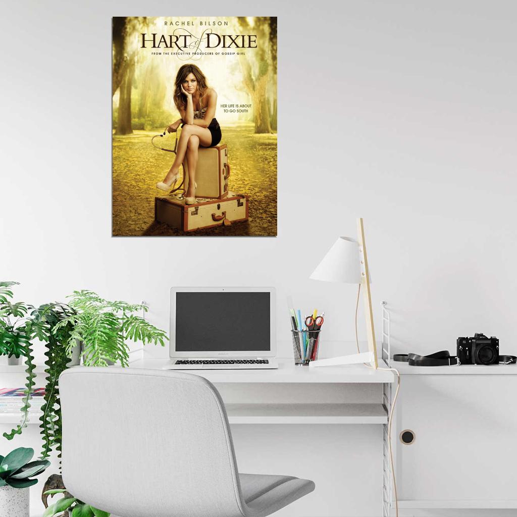 Hart of Dixie Rachel Bilson TV Series Wall Art Print Poster
