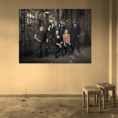 Lost Girl Characters TV Series Wall Art Print Poster