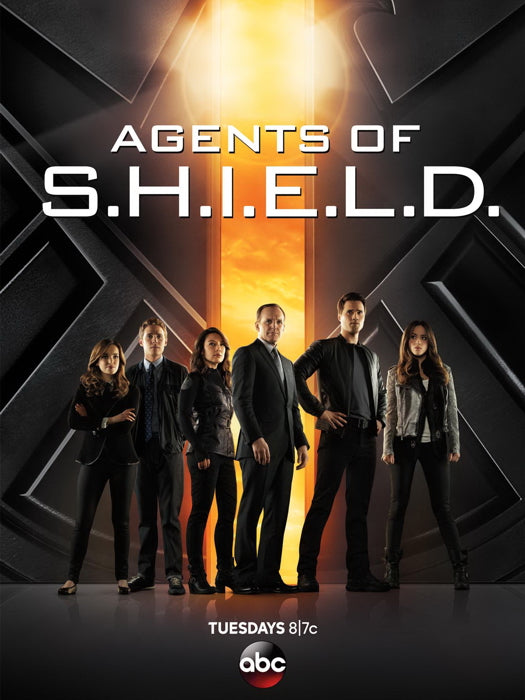 Agents of S.H.I.E.L.D. SHIELD TV Series Wall Art Print Poster