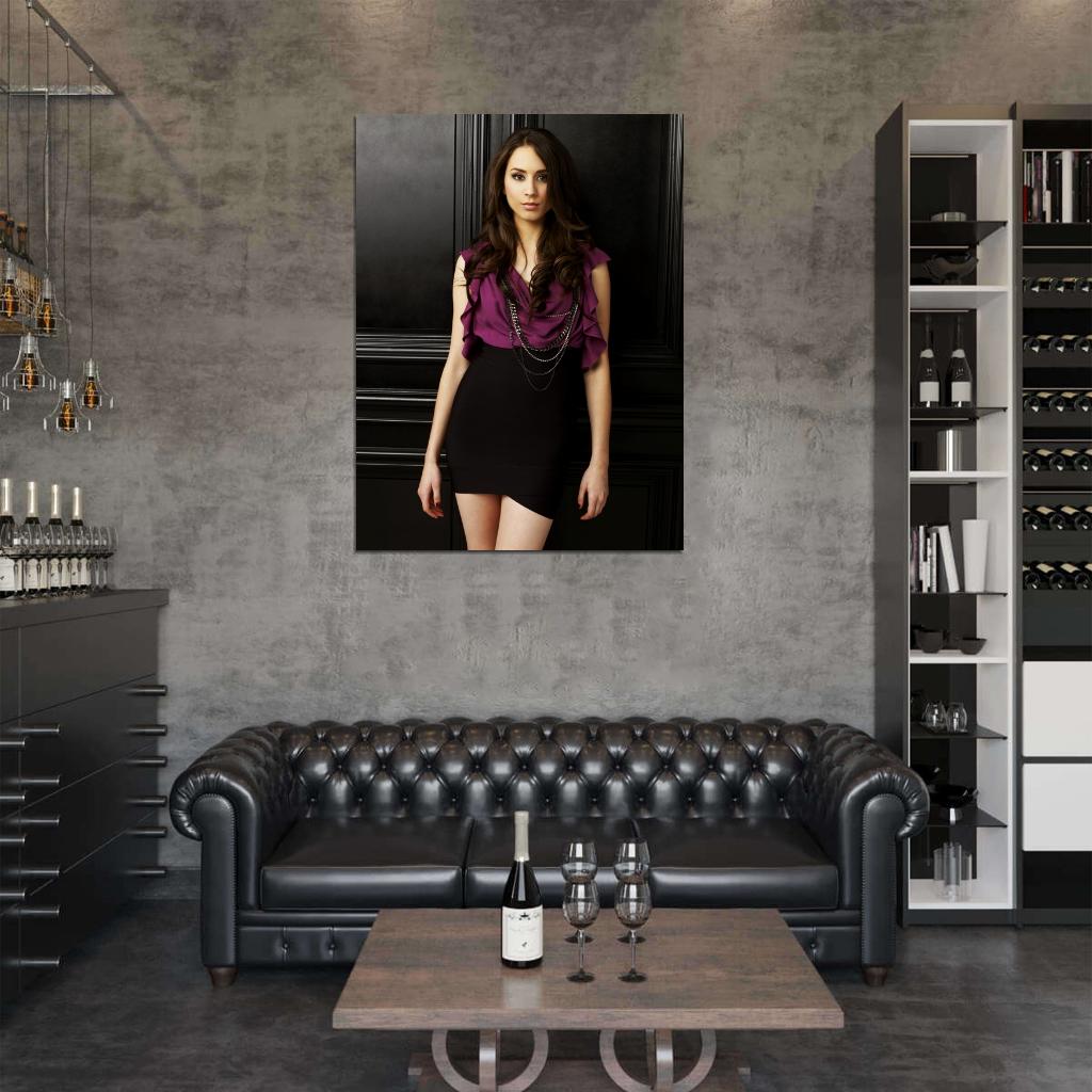 Pretty Little Liars Troian Bellisario TV Series Wall Art Print Poster