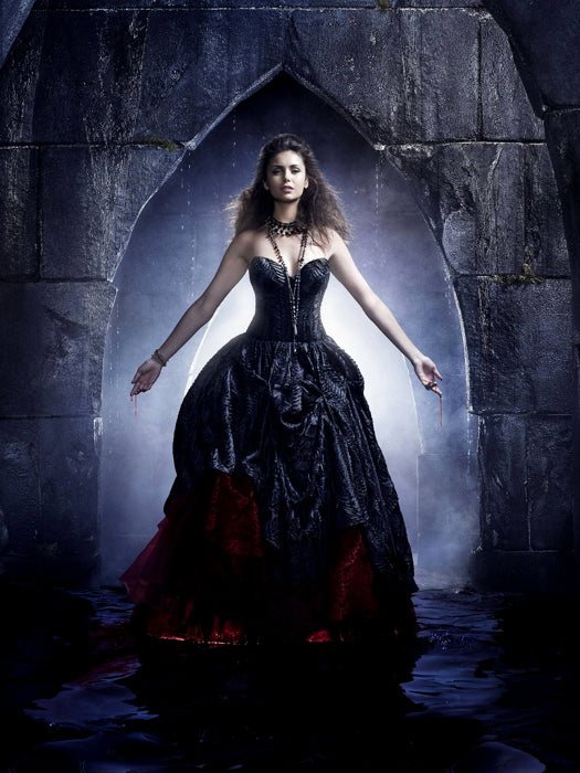 The Vampire Diaries Elena Gilbert Nina Dobrev TV Series Wall Art Print Poster