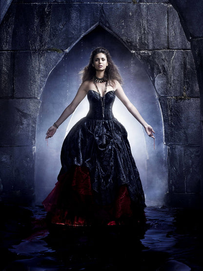 The Vampire Diaries Elena Gilbert Nina Dobrev TV Series Wall Art Print Poster