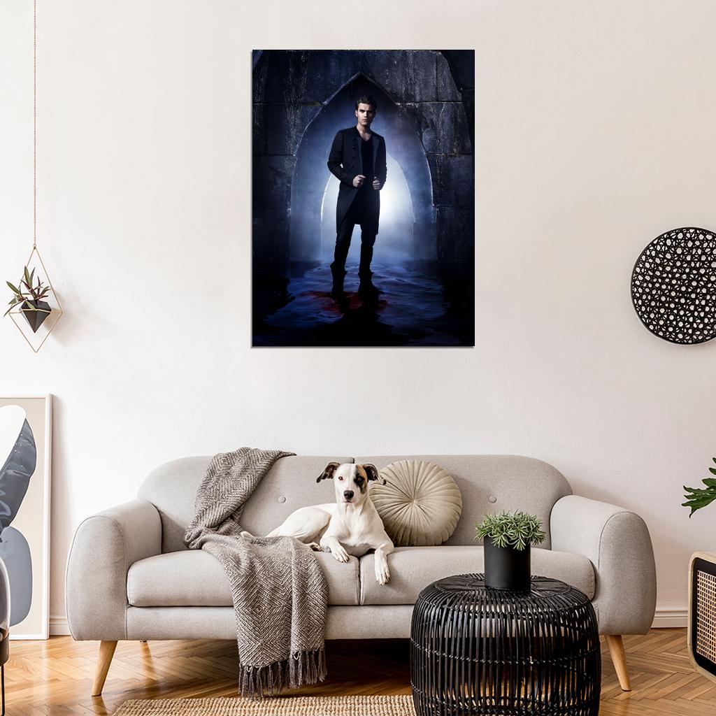 The Vampire Diaries Stefan Salvatore Paul Wesley TV Series Wall Art Print Poster