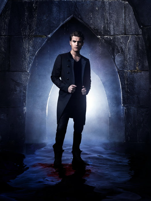 The Vampire Diaries Stefan Salvatore Paul Wesley TV Series Wall Art Print Poster