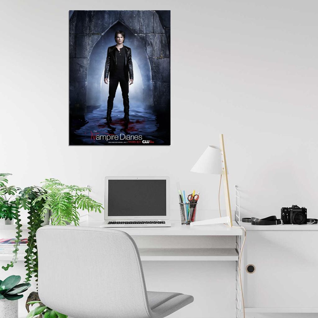 The Vampire Diaries Damon Salvatore Ian Somerhalder TV Series Wall Art Print Poster